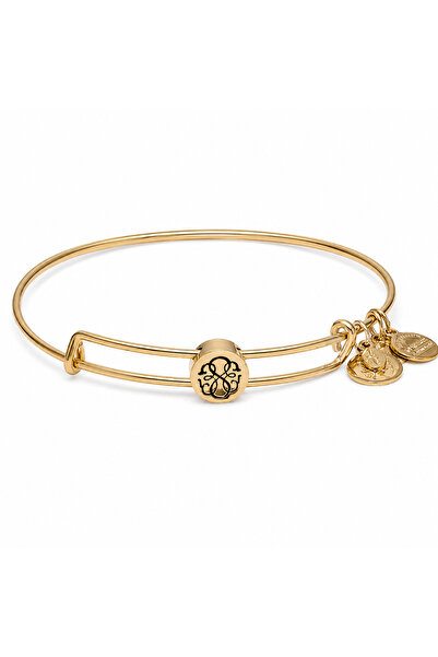 Alex and Ani Bratara Metal SSEWB04G