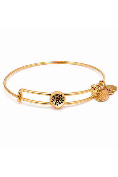 Alex and Ani Bratara Metal SSEWB10G