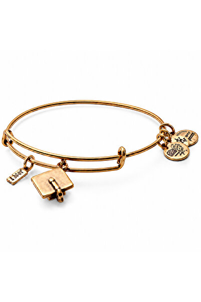 Alex and Ani Bratara Metal A17EB04RG
