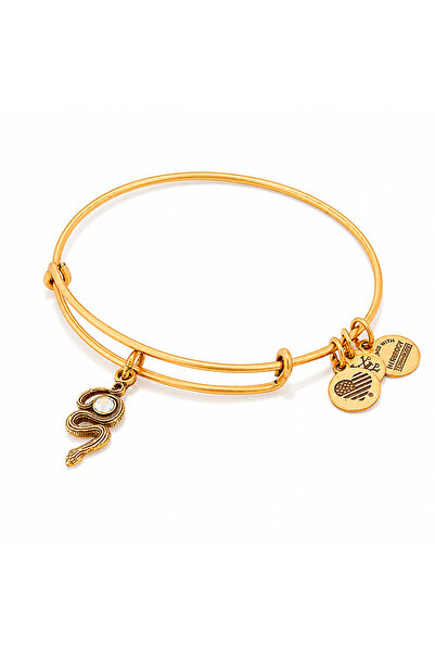 Alex and Ani Bratara Metal A16EB68RG