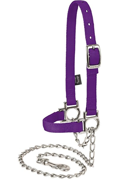 Yıldızan Srdshop Besi Hayvanı Nylon Adjustable Sheep Neck Harness with Chain ...