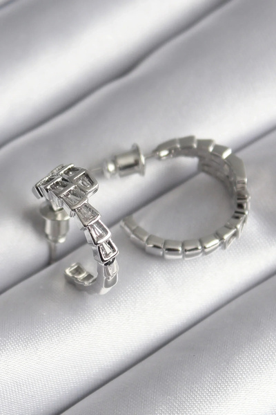 Generic Brand Brass Silver Color Zircon Stone Snake Model Women's Earrings