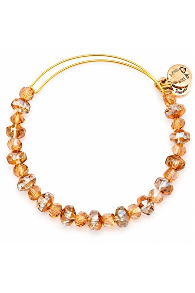 Alex and Ani ΓΥΝΑΙΚΕΙΟ ΒΡΑΧΙΟΛΙ A13EB42RG (20ΕΚ.)