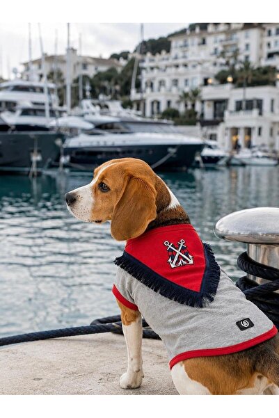 Alphadog Sailor Small Breed Dog T-Shirt