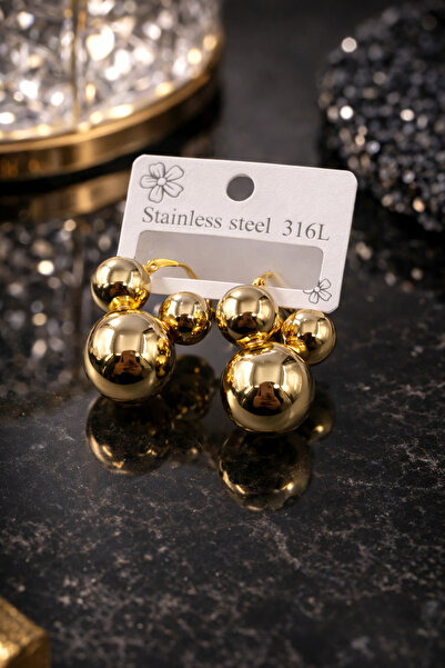 Bozhi Steel Earrings 428 Silver Elegant Gift Gold