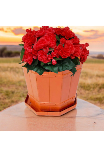 dealshopromania Ghiveci de 12 litri, din plastic, model rustic, ideal pentru ...