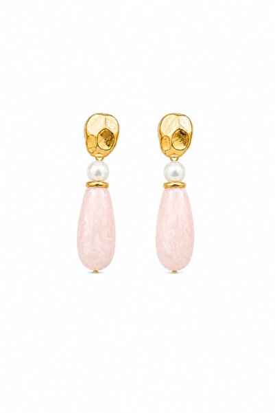 Charmist Steel rosalie earrings
