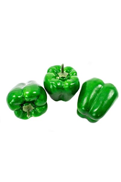 OEM Legume Plastic Ardei Gras Verde