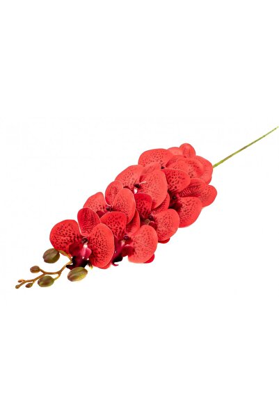 OEM Flori Artificiale Orhidee Rosu 9/Fir