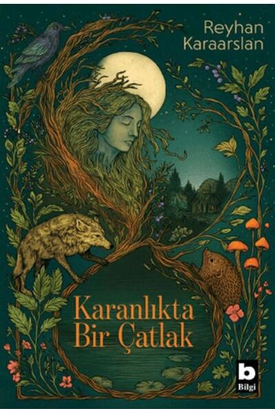 Bilgi Yayınevi Karanlıkta Bir Çatlak