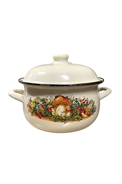 OEM Enamel Steel Pot, Mushroom Model, with Lid, 3.5 Liters