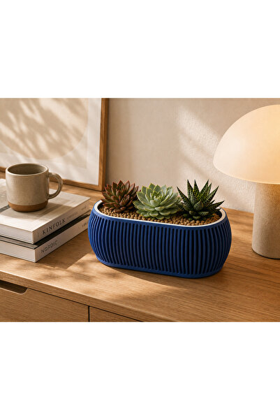 zen atelier Japandi Dekoratif Saksı Modern Minimal Bonsai Saksısı Sukulent ve...