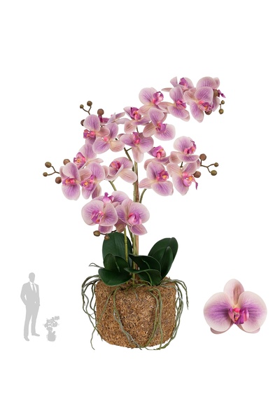 Roberto Rossi Orhidee artificiala roz cu aspect H59 cm cu 5 tulpini