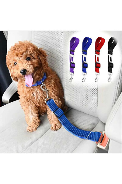 Petistera Adjustable Safety Belt for Cats and Dogs in the Car