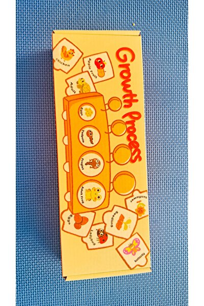 Generic Montessori Wooden Animal Life Cycle Puzzle for Children | Educational Matching & Color Sorting Game | Early Learning Toy