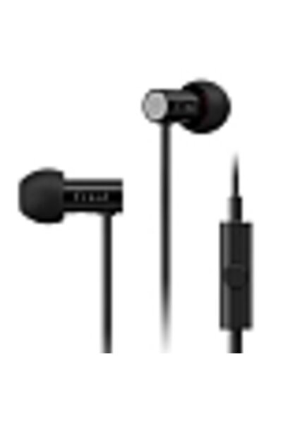 FİNAL Audio E2000C with Mic Matte Black In-ear headphones