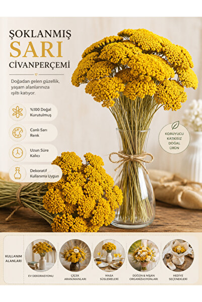 Ego Şoklanmış Sarı Civanperçemi Demeti (Achillea)