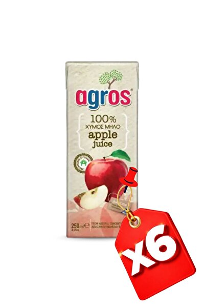 Agros 6x APPLE 100% 250 ml