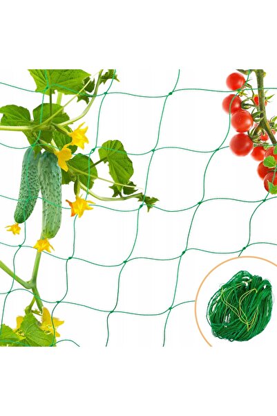 Ayawaska Plasa de Sustinere pentru Plante Cataratoare, 2 x 10 m, Ideala pentr...