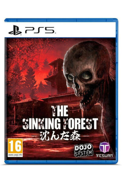 Tesura Games Το Περιορασμένο Χρόνο (The Vanishing Forest) Παιχνίδι για PS5