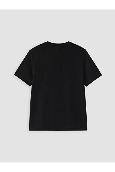 LC Waikiki Crew Neck Boy's T-Shirt