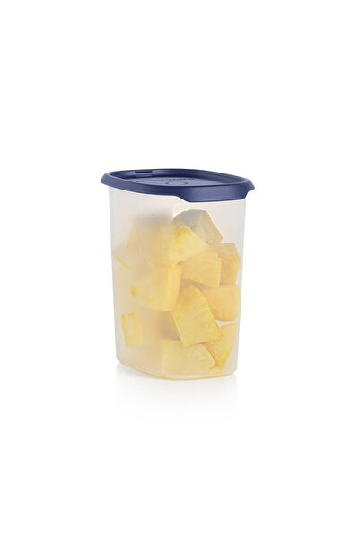 Tupperware Tek Dokunuş Gıda Saklama 1.8L Gece Mavisi