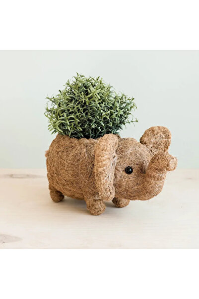 OEMS Elephant Planter
