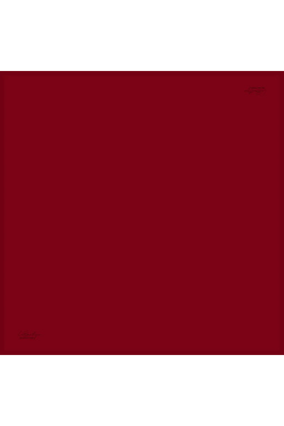 LA BOUTIQUE Labouti̇que Solid Color Sura Silk Scarf Düzk49