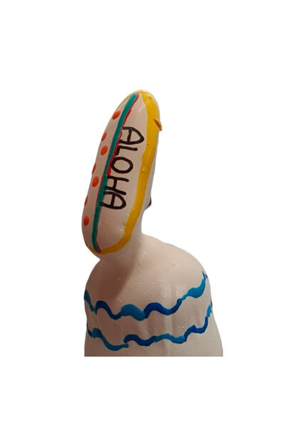 Condomerie Prezervative Pictate Manual – Plansa de Surf