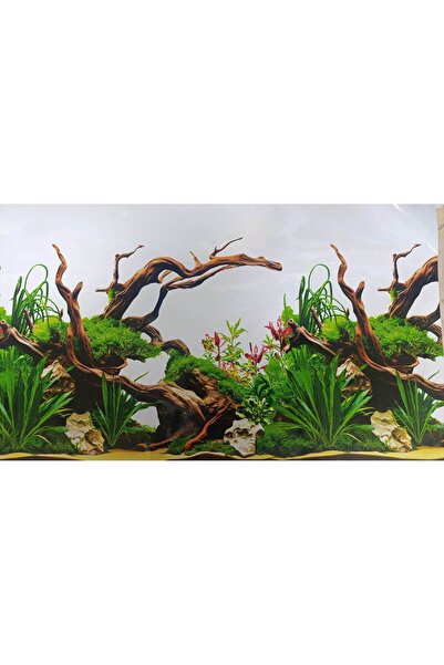 canlipetshop Arka Fon N0:8074 (Yati Dekor) 50 cm Uzunluk 60 Cm Yükseklik