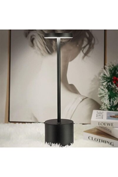 Homestar Rechargeable Cordless Metal Table Lamp Outdoor Portable Battery Oper...