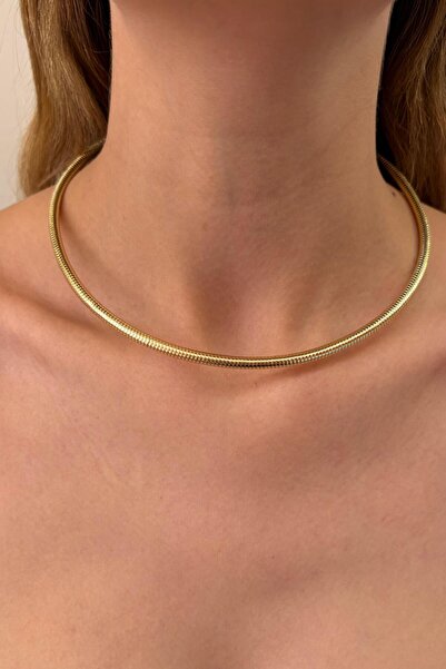 Charmist Steel Valora Choker Necklace
