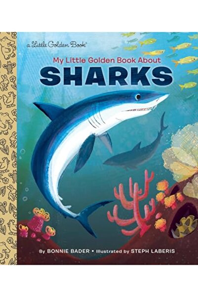 GOLDEN BOOKS كتابي الذهبي الصغير عن أسماك القرش