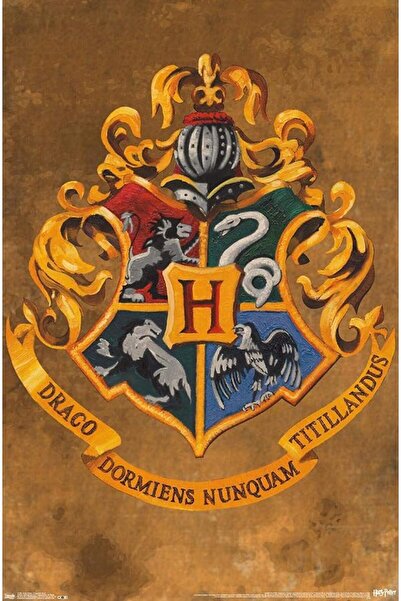 ESSESORIES Harry Potter Movie Poster Wall Art Room Decor Self Adhesive