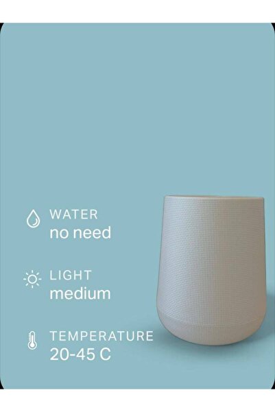 OEMS Light gray plastic planting basin
