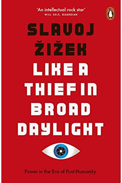 Penguin Books Like A Thief In Broad Daylight