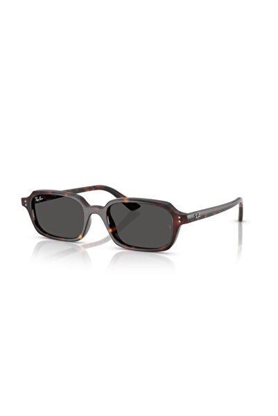 Ray-Ban RB4455 Güneş Gözlüğü 135987