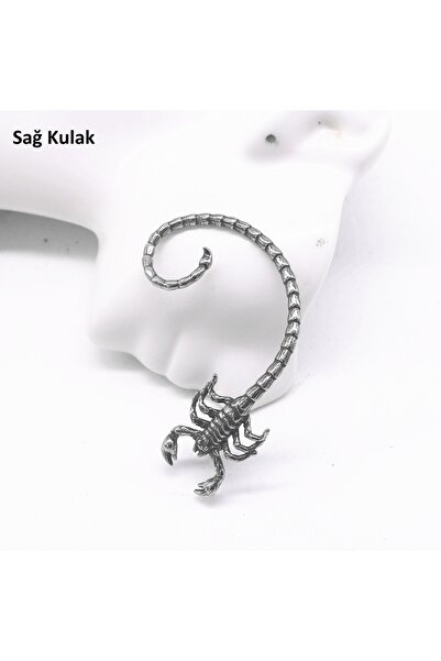 Viking Akrep Tasarım Çivi Model S+ Kalite 316L Paslanmaz Kararmaz Çelik Ear C...