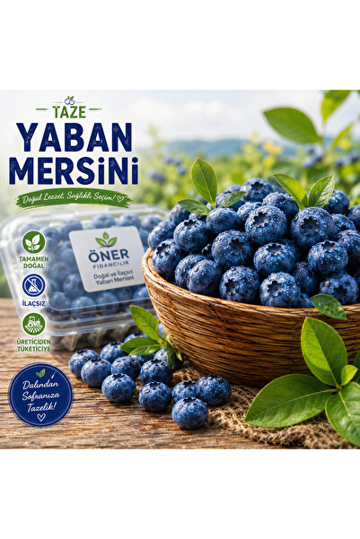 Öner Fidancılık İlaçsız Taze Yaban Mersini 1 kg | Doğal Üretim | Üreticiden S...