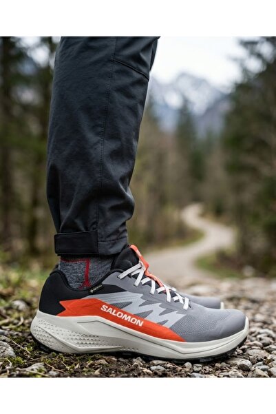 Salomon Alphaglide Gore-Tex Men's Outdoor Running Shoes Gray