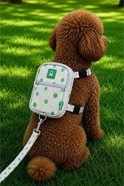 United Colors of Benetton Bnt-Gct-C Travel-Bag-Leash Green
