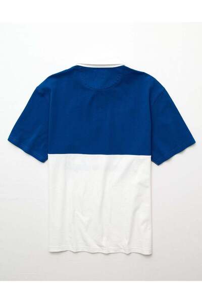 AMERICAN EAGLE AE Standard Fit Graphic Polo Shirt