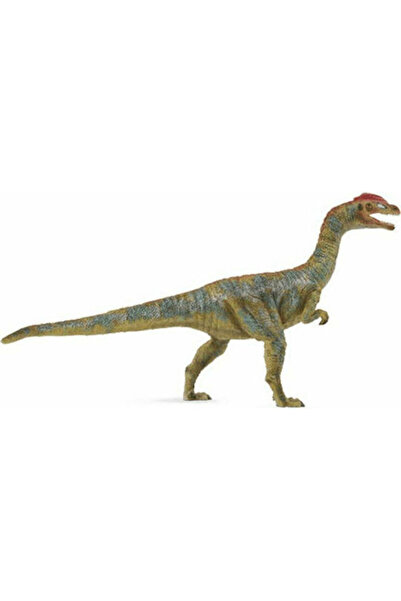 Collecta Λίλιενστερν 16 εκ.