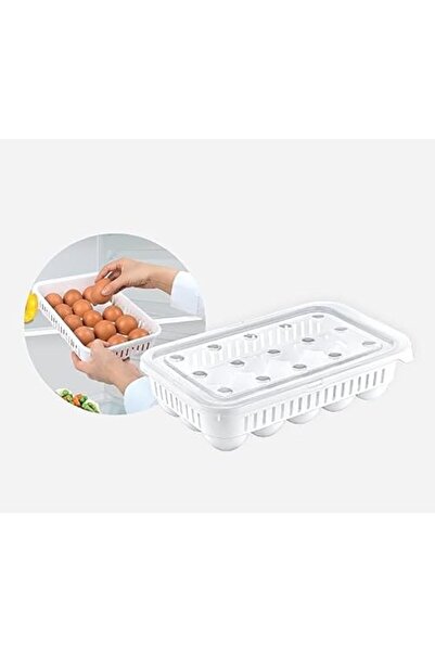 Yıldızan وعاء بيض بلاستيكي من nry shop، مع غطاء (15 قطعة) 1293253