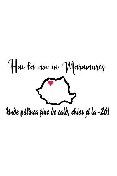 Amo-Stickers Автомобилен стикер Ела до нас в Марамурес 2 Сребърен
