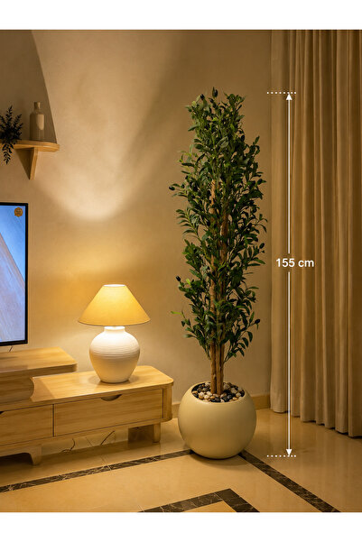 Rafef 155 cm High Eton Tree with a Marron Core