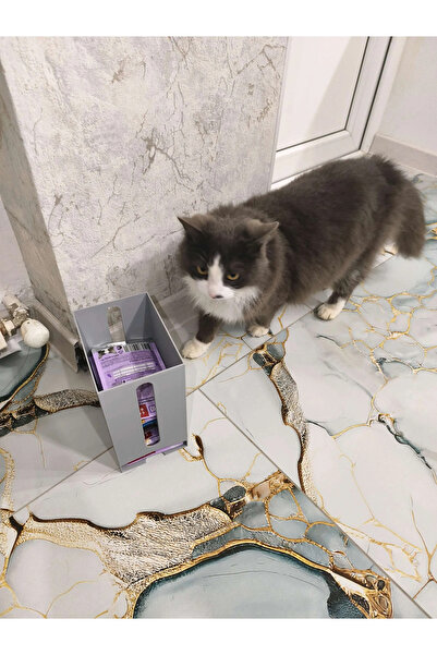 Print Zone Cat and Dog Wet Food Storage Box Dispenser Treat Food Storage Box