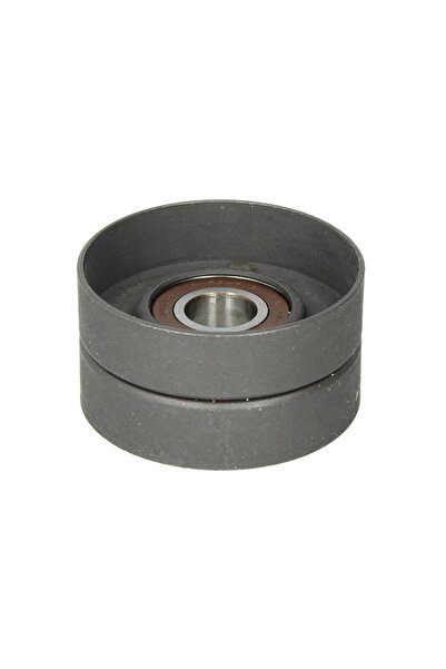 BTA Rola intinzator,curea accesorii Daf Cf 85 Xf 105 Xf 95 Mx265-xf355m 01.01