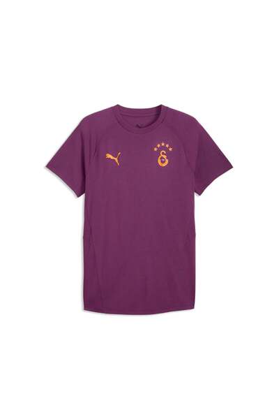 Puma GALATASARAY EVOSTRIPE Erkek Dar Kesim Tişört