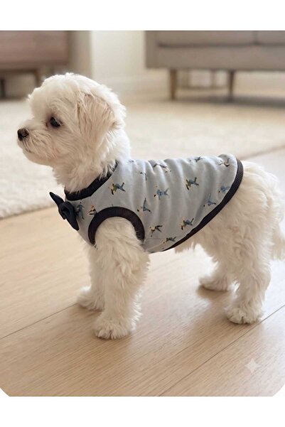 atelyu Cat Dog Outfit Blue Bow Tie Tshirt